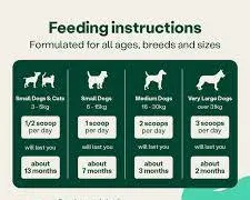 فيلاين قو رو اكل قطط 90 جم