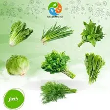 ورقيات