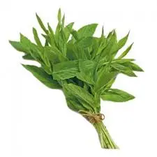 حبق ونعناع