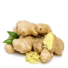 جنزبيل كيلو