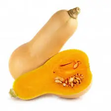 قرع امريكي 