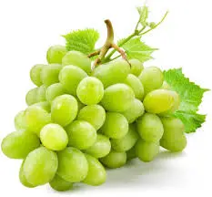 عنب اخضر