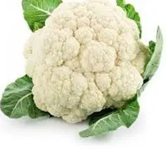 زهره كيلو